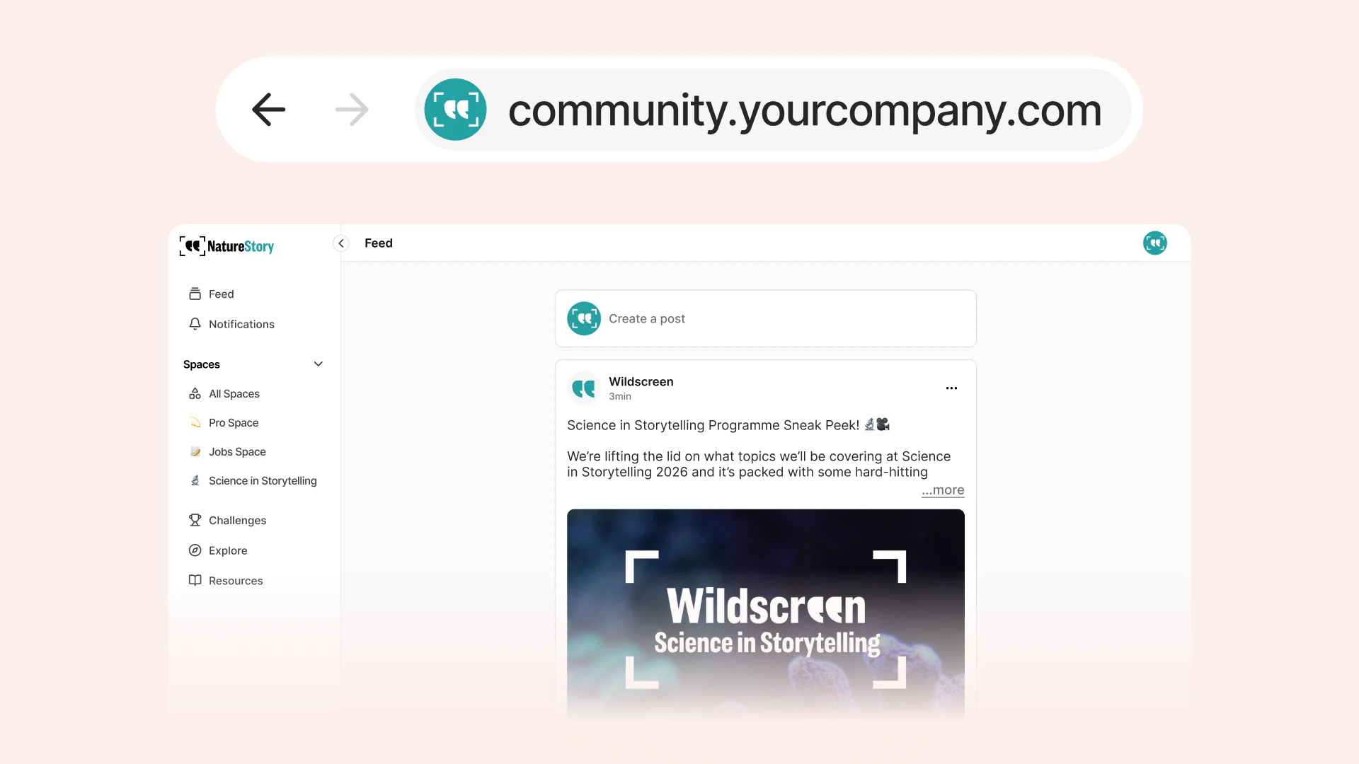 Your Customer Platform, Your Domain